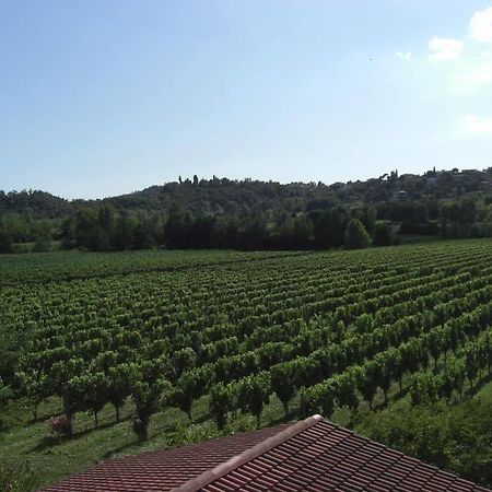 Il Vigneto Affittacamere Manerba del Garda Exterior foto