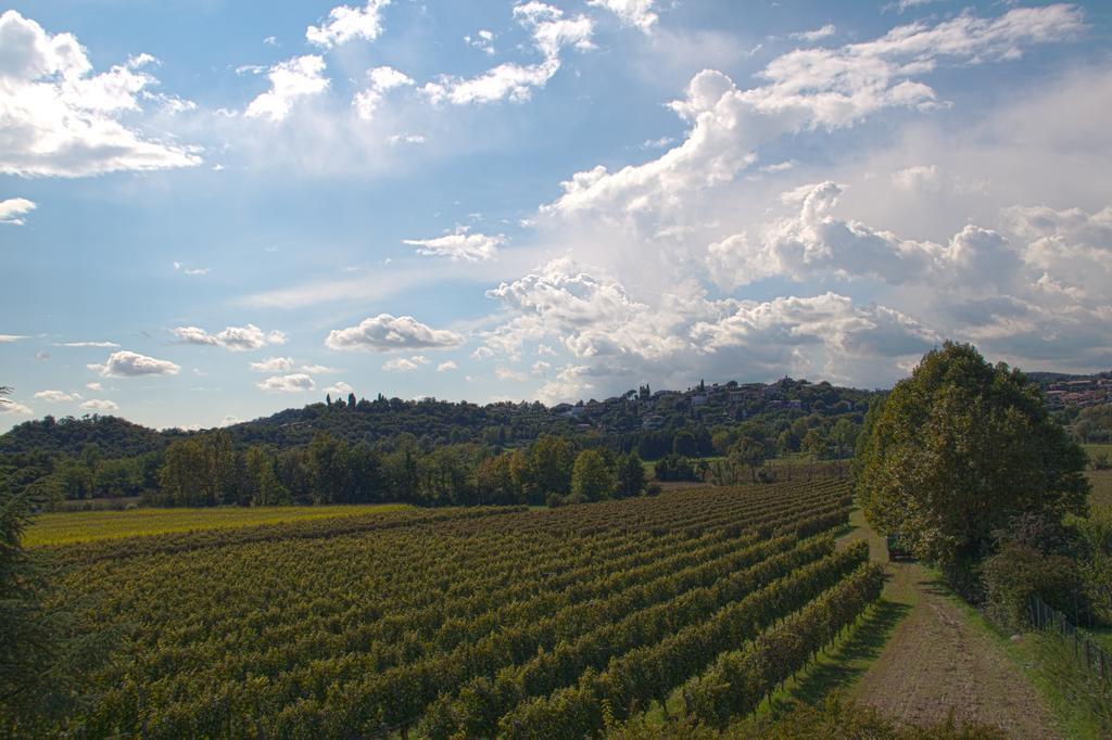 Il Vigneto Affittacamere Manerba del Garda Exterior foto